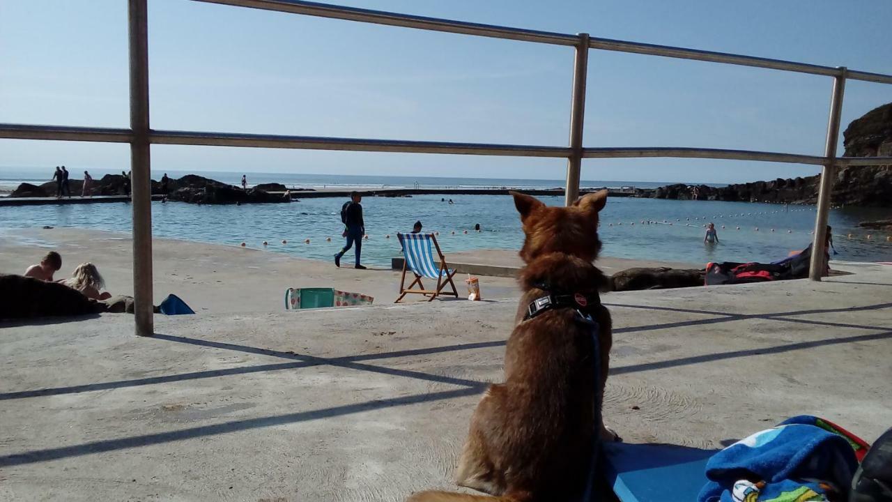 Villa Atlantica Bude Esterno foto